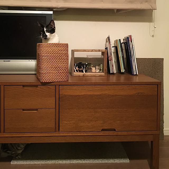 mikomaruさんの実例写真