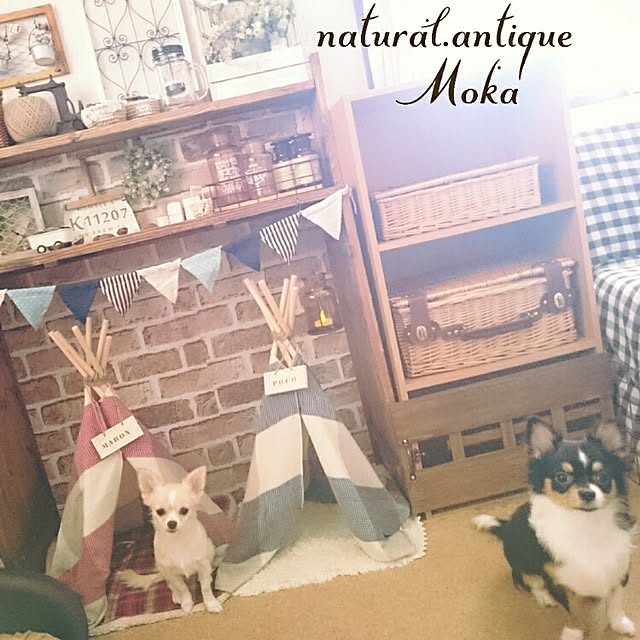 Mokaさんの実例写真