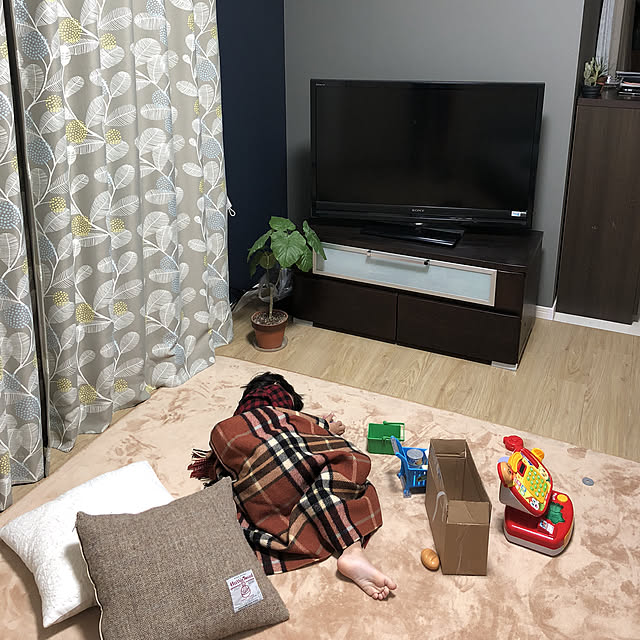 furuiouchiさんの実例写真