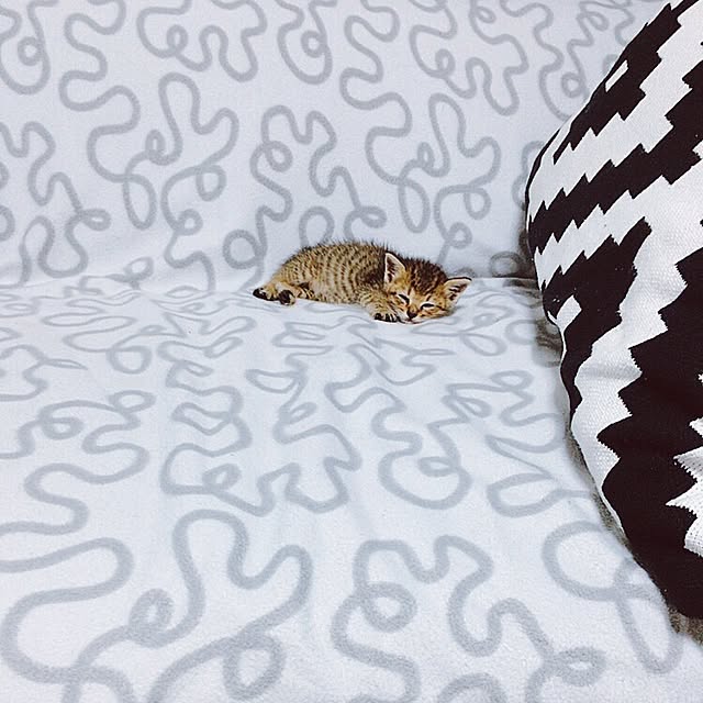 mikaさんの実例写真