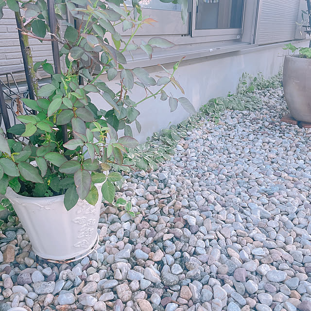 akiko-ovさんの部屋