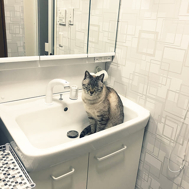 mieさんの実例写真