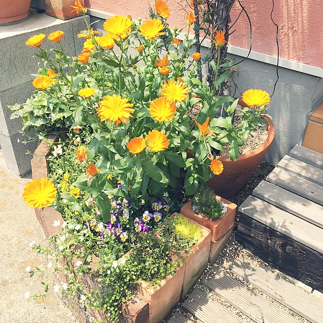 kirinさんの実例写真