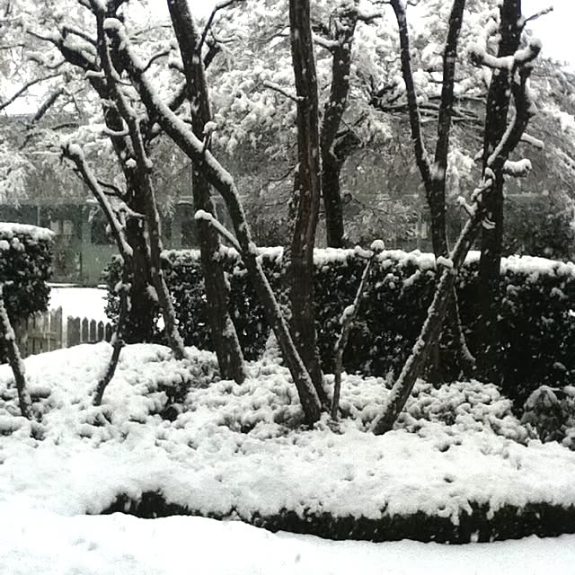 emichanbooさんの実例写真
