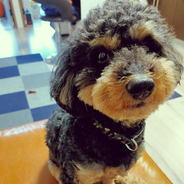 minmiさんの実例写真
