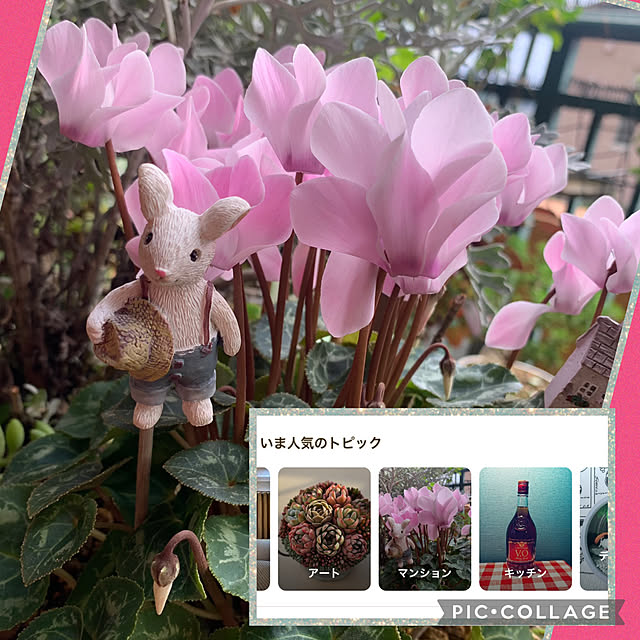 Aqettyさんの実例写真