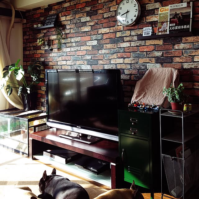 oggy0301さんの実例写真