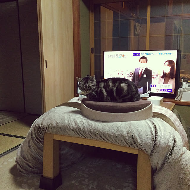 richanさんの実例写真