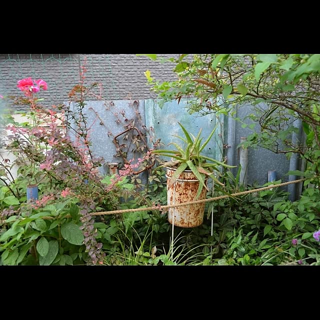 GreenWorksさんの実例写真