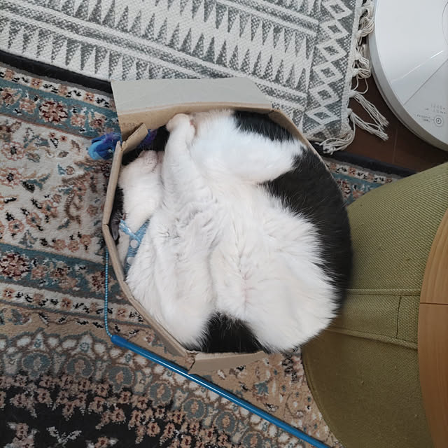 yuuさんの実例写真