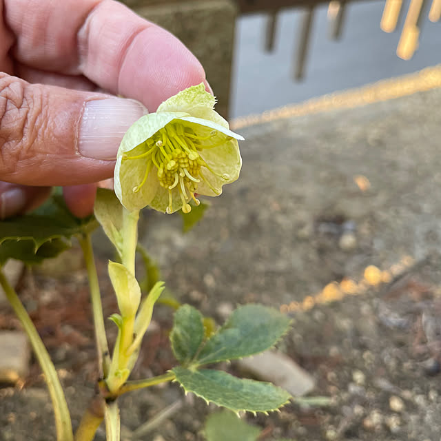 shin0719さんの実例写真