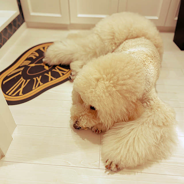 nackeyさんの部屋