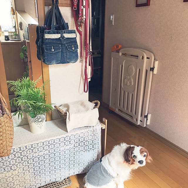 canmilmamaさんの実例写真