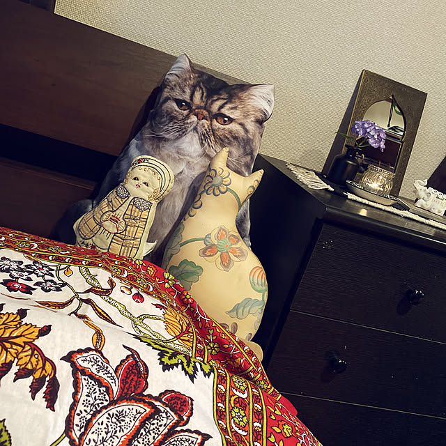 cecil..さんの実例写真
