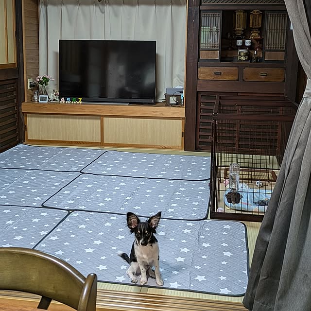 kuririnmamaさんの実例写真