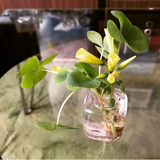 chiruchiruchiicoさんの実例写真