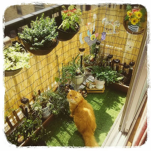minaさんの実例写真