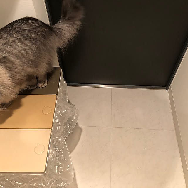 naoさんの実例写真
