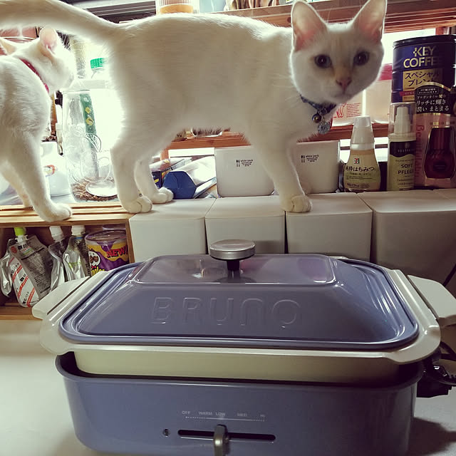 2catさんの実例写真