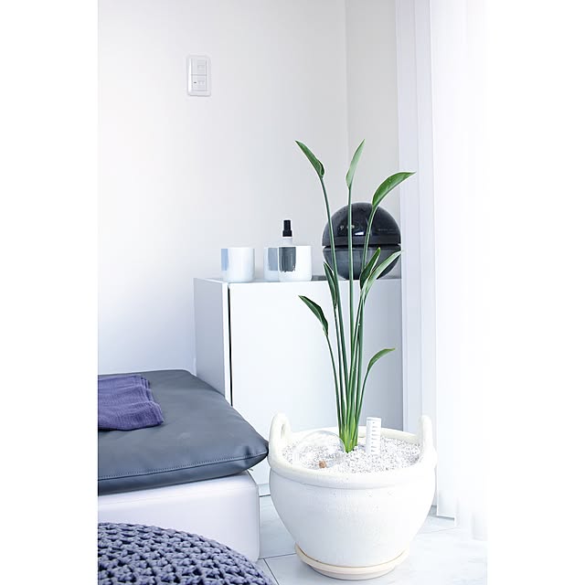 interior_amiさんの実例写真