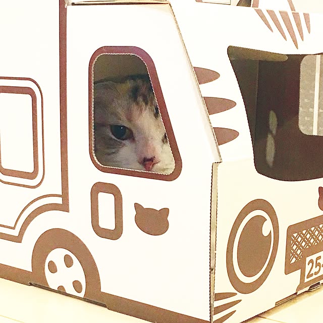 yokkochanさんの実例写真