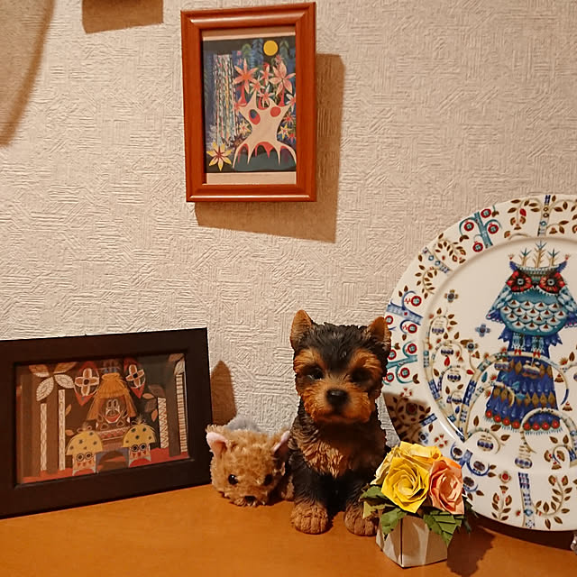 nicoleさんの実例写真
