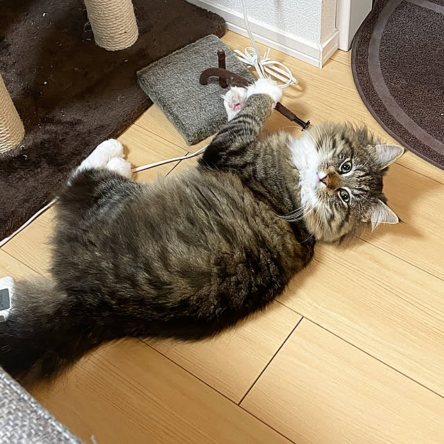 sh.0514さんの実例写真