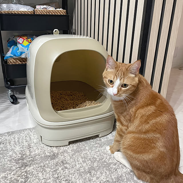 maimaiさんの部屋