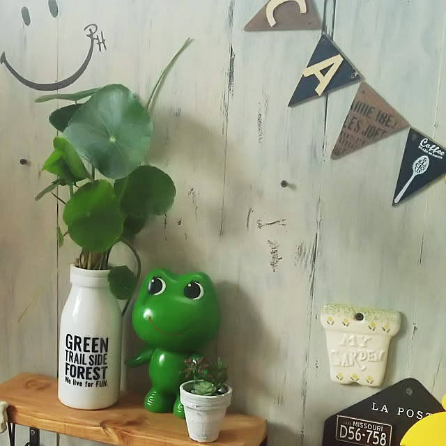 juncoさんの実例写真