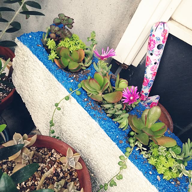 玄関/入り口/日替わり投稿企画!水曜日/DIY/ブロック/多肉植物寄せ植え...などのインテリア実例 - 2017-05-13 12:48:02