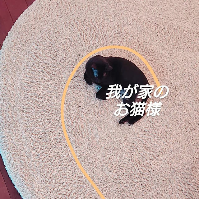 piさんの実例写真