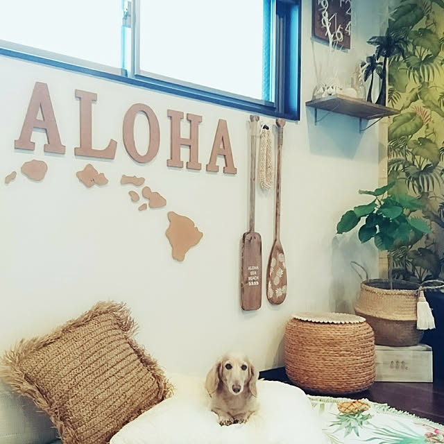 cocosorasakuさんの実例写真