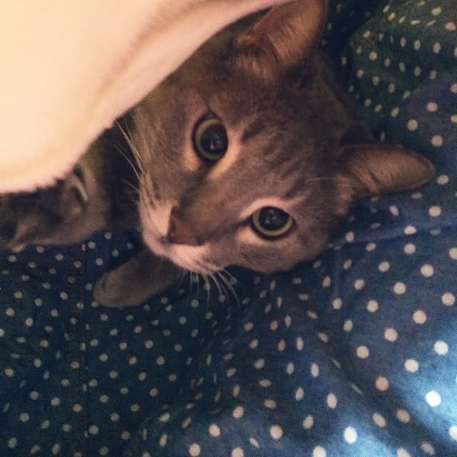 kuruさんの実例写真