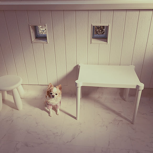 ma_mocha_naさんの実例写真