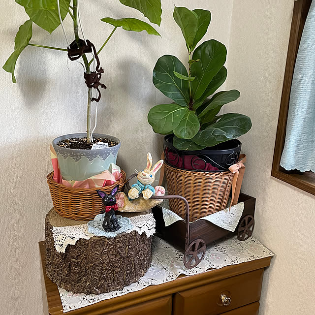 ronronさんの部屋