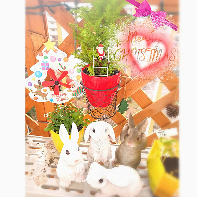 mariaさんの実例写真