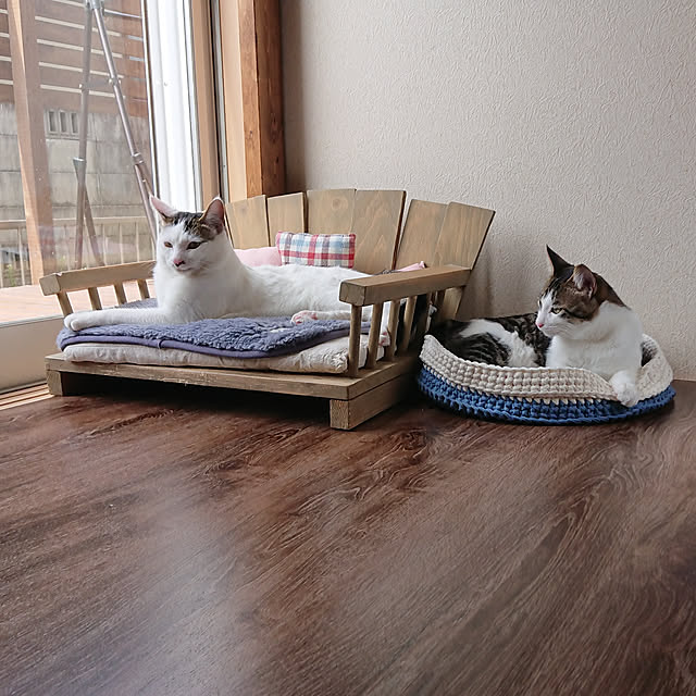 mikisunさんの実例写真
