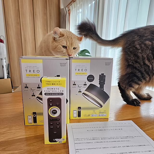 makoさんの実例写真