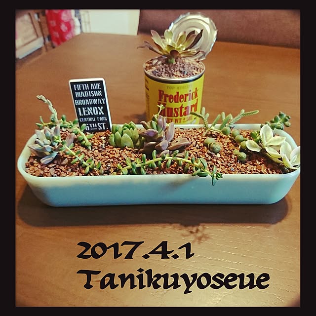naomiさんの実例写真