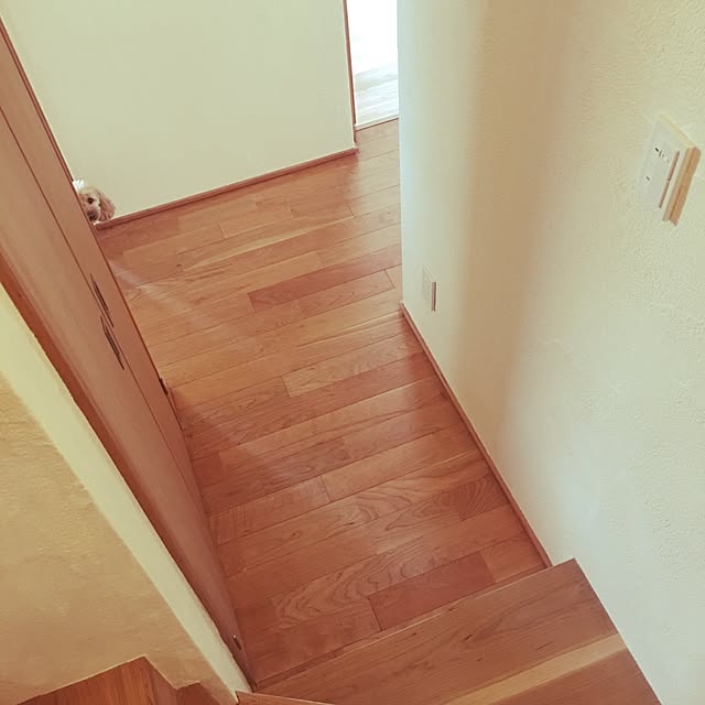 chieさんの実例写真