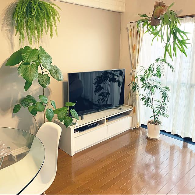 shinbaさんの実例写真