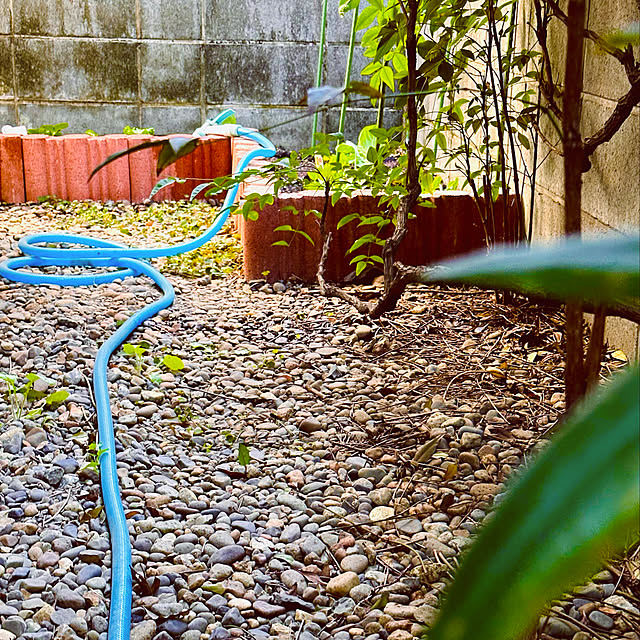 chacoさんの実例写真