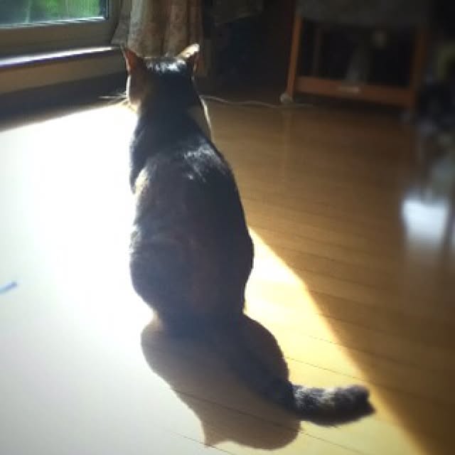pinkichiさんの実例写真