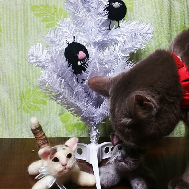 Yukikoさんの実例写真