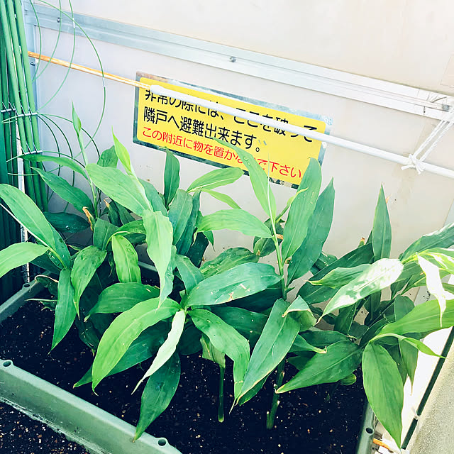 hanachanさんの部屋