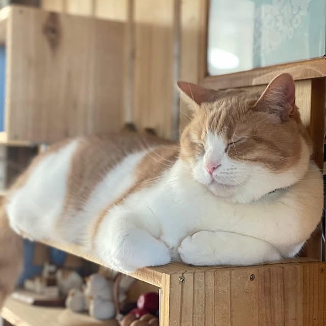 mintteaさんの実例写真