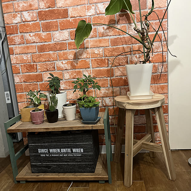 イケア/IKEA/ニトリ/足場板古材/ウッドプロ 足場板...などのインテリア実例 - 2021-11-28 23:58:29