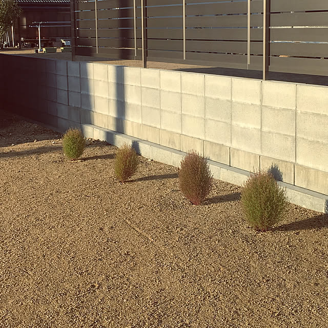 n.m.wsさんの実例写真