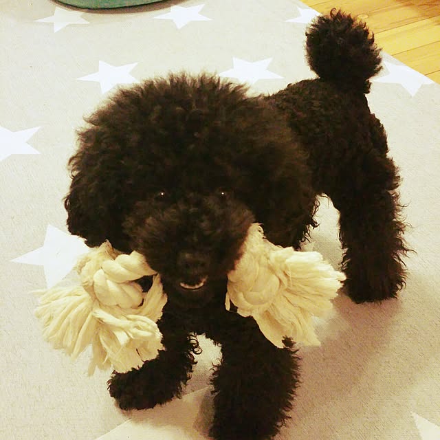 tomoppさんの実例写真