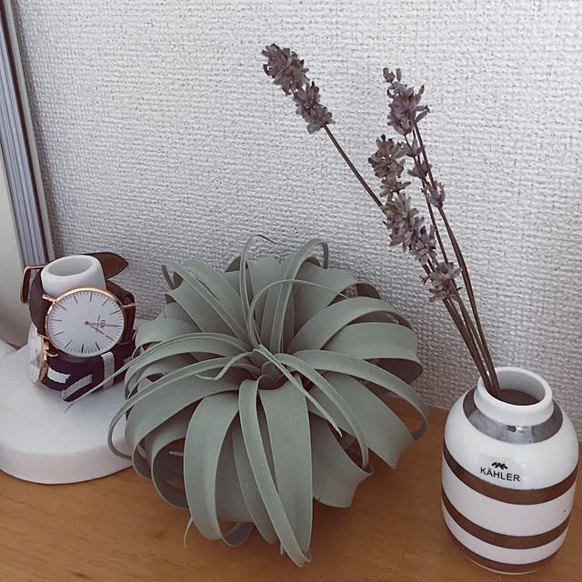 SHIHOさんの実例写真